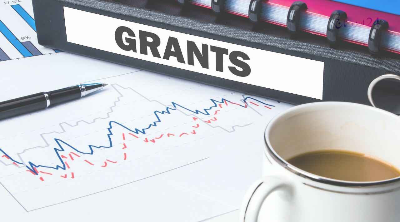 Government grants and loans